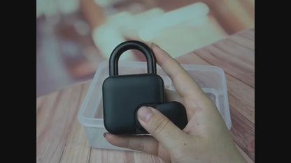 LockSecure Biometric Padlock